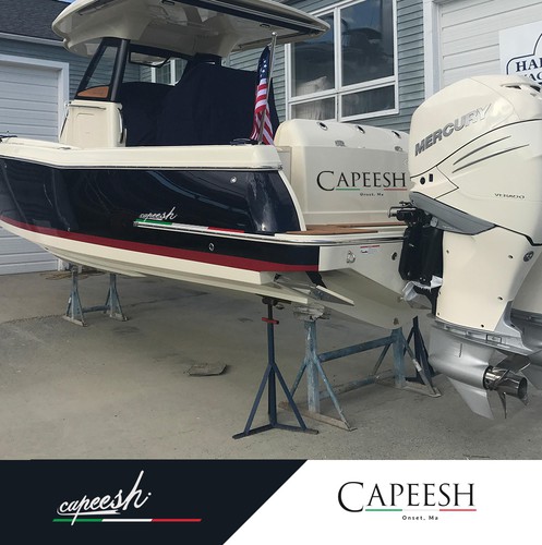 Livery design with the title 'Boat Logo/Livery Design'