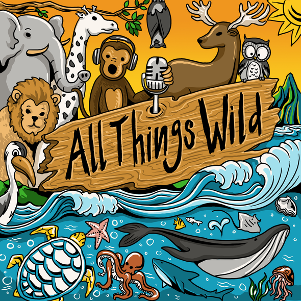 Podcast cover artwork with the title 'Illustration for Wildlife Podcast'