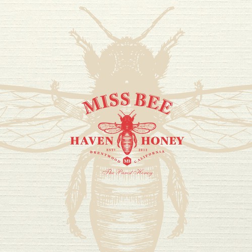 Paper design with the title 'Miss Bee logo design'