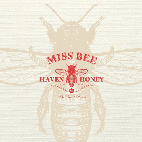 Paper design with the title 'Miss Bee logo design'