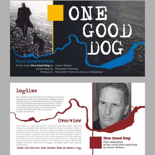 Photo editing design with the title 'presetation'