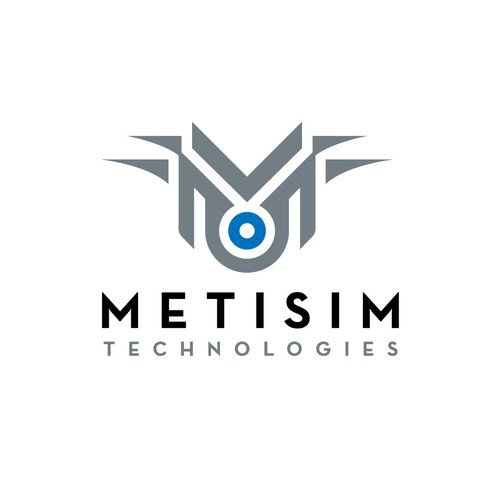 Tribal logo with the title 'Logo for public security software company'