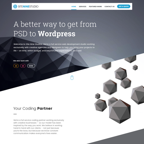 Illustrative website with the title 'SiteNineStudios Website Design Concept'