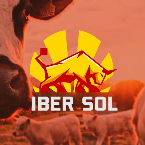 Spanish logo with the title 'Logo for a Meat producer'