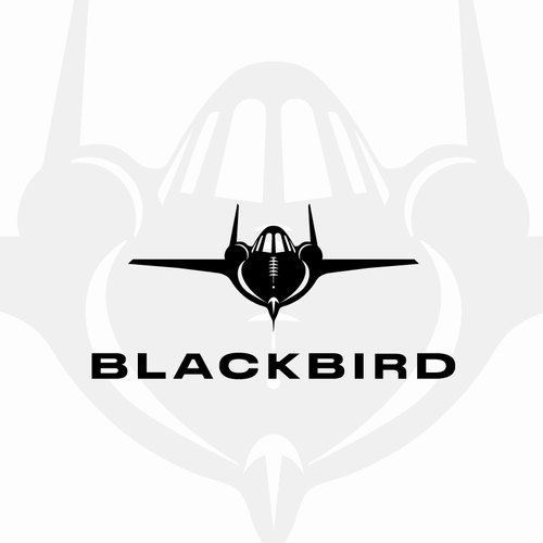 Airplane brand with the title 'Blackbird'