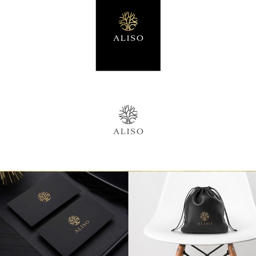 Strong design with the title 'Discover Aliso's Branding!'