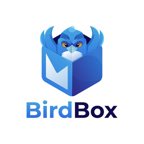 Mail design with the title 'Bird Box'