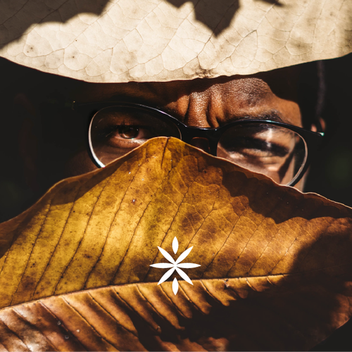 Leaf design with the title 'VerdeVibes'