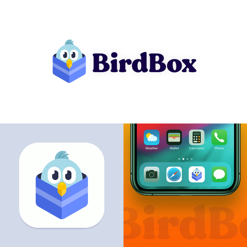Email logo with the title 'BirdBox - Logo'