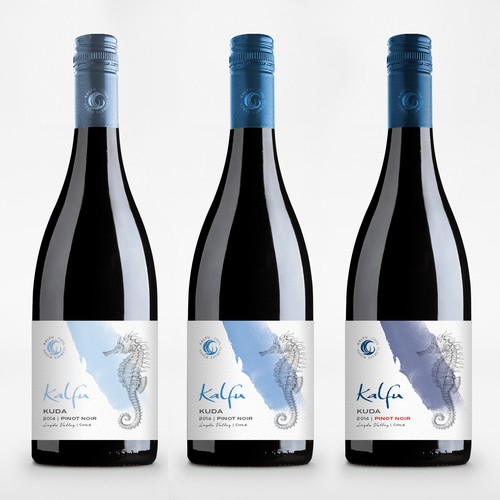 Pinot noir label with the title 'Exciting, Fun and Youthful Design For Chilean Wine'