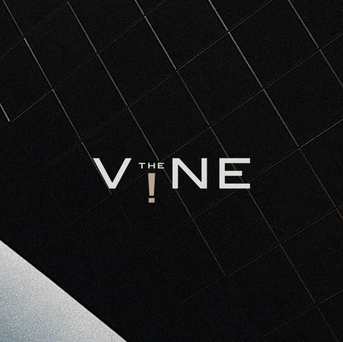 Mall design with the title 'Bold and Unique Wordmark, The V!NE.'