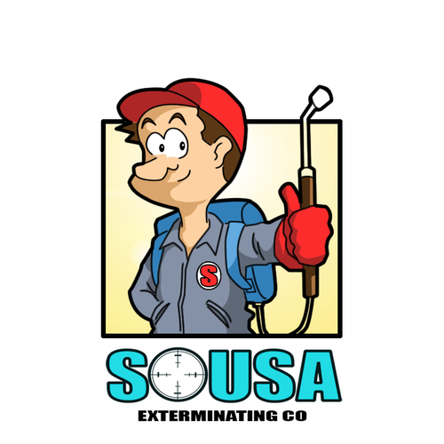 Chibi design with the title 'So USA'
