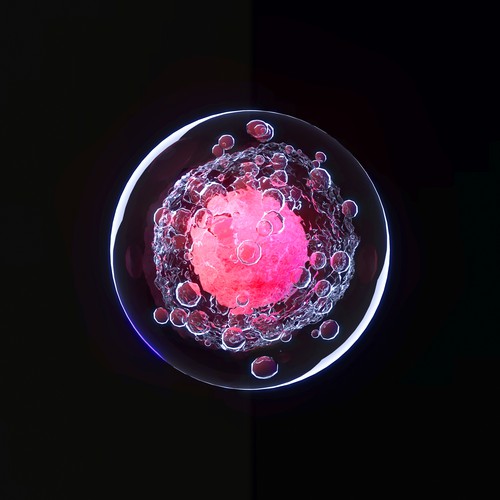 Sphere design with the title 'Rendering of human cell'