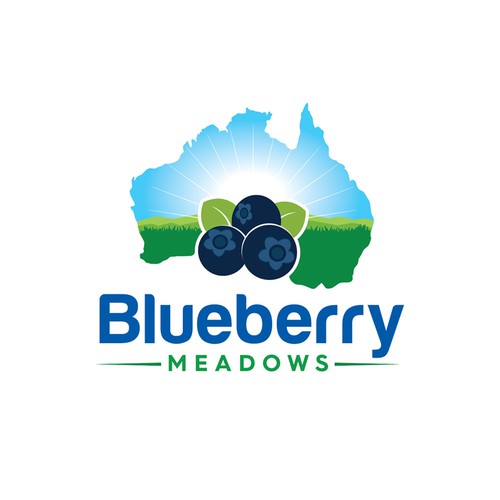 Blueberry logo with the title 'Bold Logo Concept for Farm'