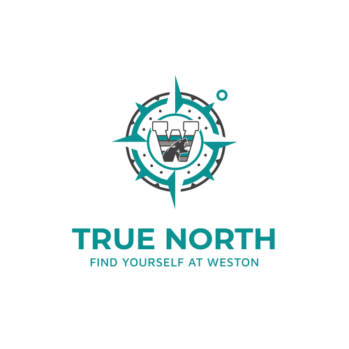 North logo with the title 'True North'