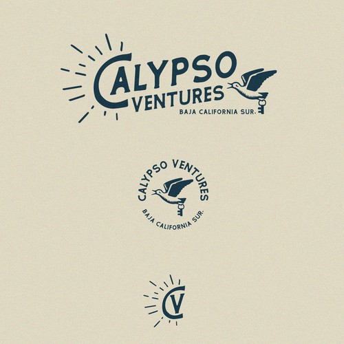 Seagull design with the title 'Logo real estate '