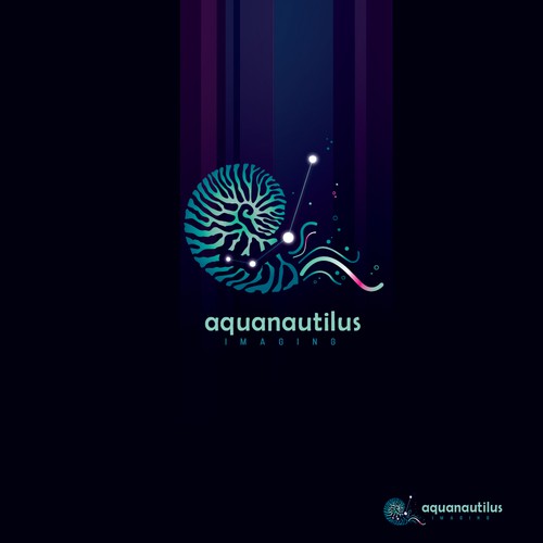 Nautical logo with the title 'Aquanautilus imaging'