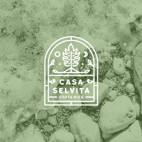 Palm tree logo with the title 'Tropical Hotel in Costa Rica'