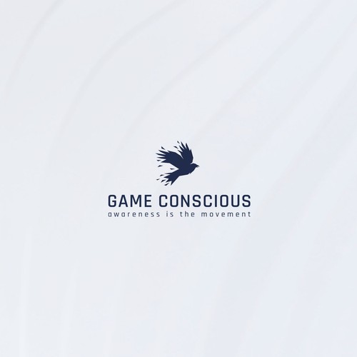 Clothes design with the title 'Game Conscious.'