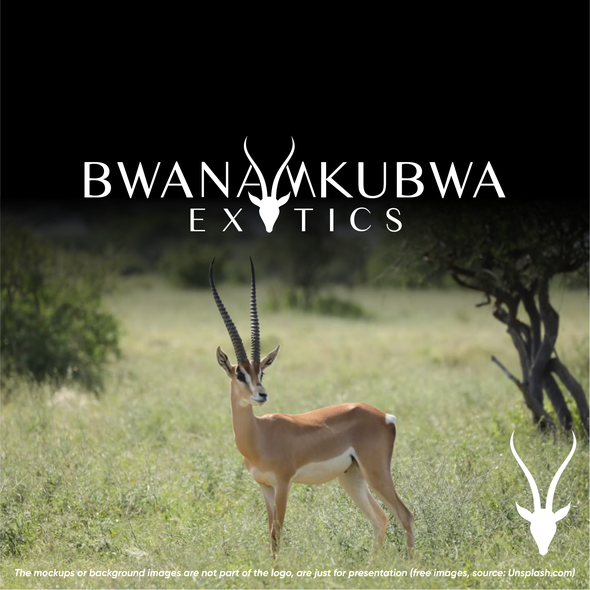 Brand with the title 'Bwana Mkubwa Exotics'