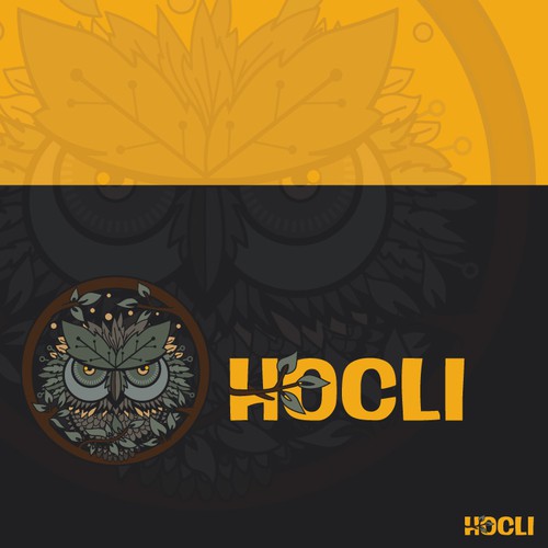 Owl logo with the title 'logo for Hocli'