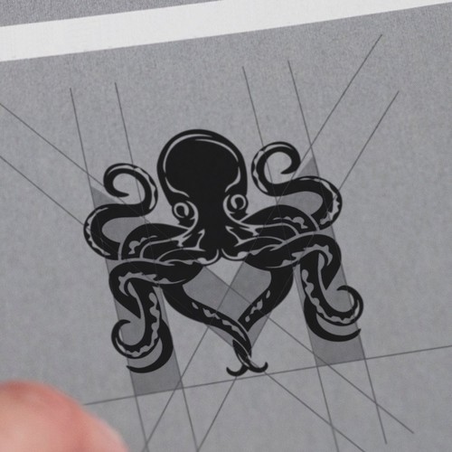 Marine logo with the title 'Logo concept "Marineiac"'