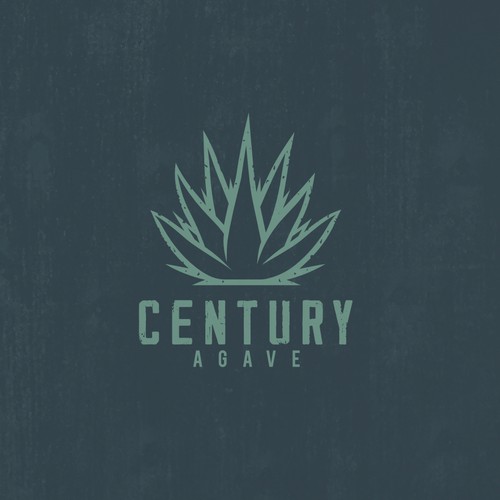 California design with the title 'CENTURY AGAVE - Logo/Brand Guide for new lifestyle clothing brand in Southern California'