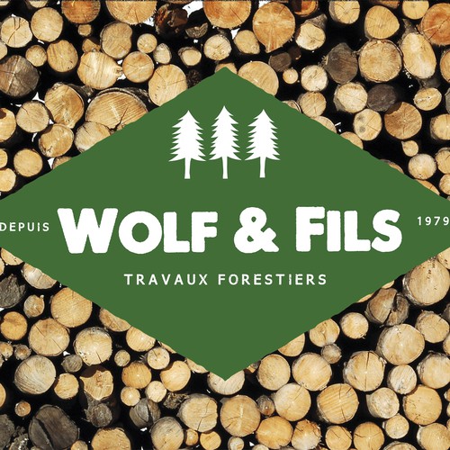 Woods design with the title 'creation d'un logo'