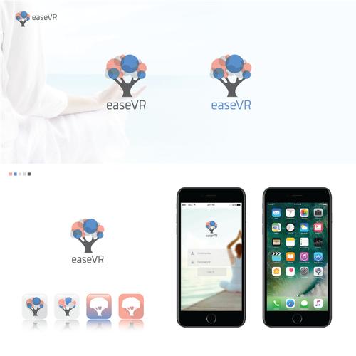 VR logo with the title 'easeVR'