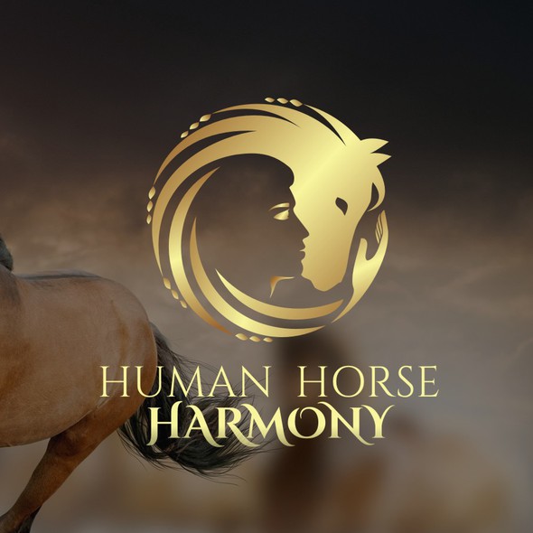 Human figure logo with the title 'A person with a horse in harmony'