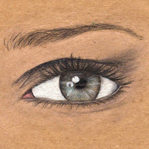 Paper artwork with the title 'illustration'