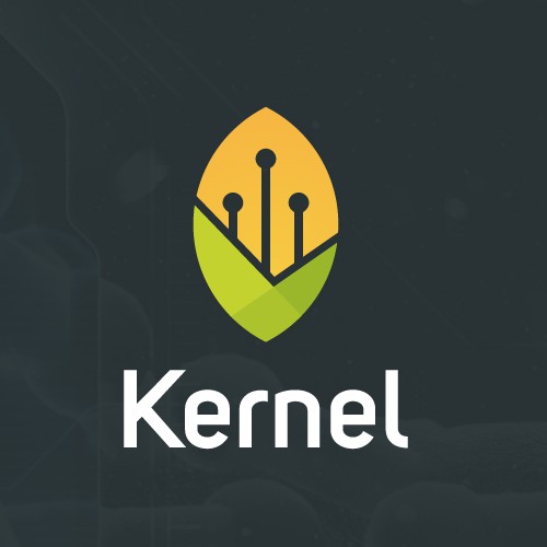 Circuit design with the title 'Kernel'