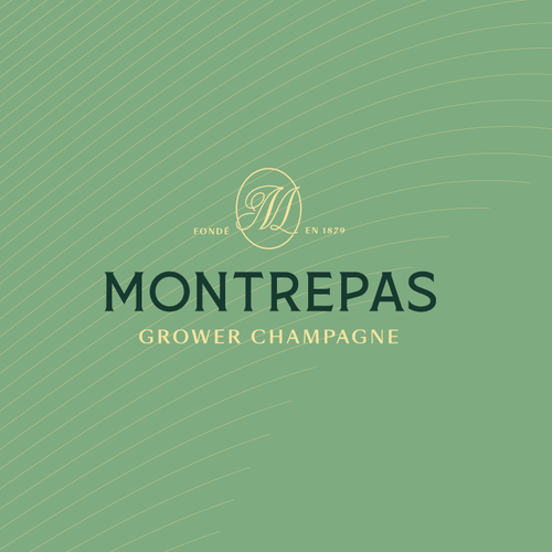 Champagne bottle logo with the title 'Logo concept for champagne'