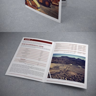 Brochure / Annual Report