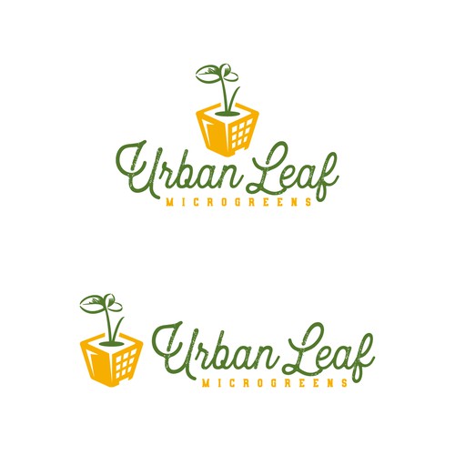 Green and yellow logo with the title 'Urban Leaf Microgreens logo'