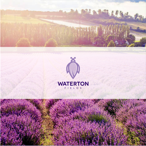 Agriculture brand with the title 'Lavender field logo'