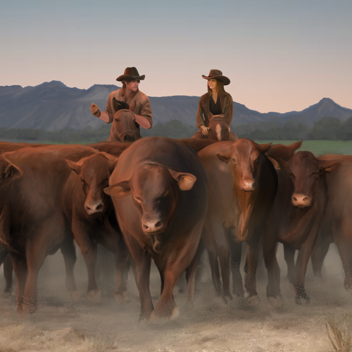 Sunset artwork with the title 'Cowboys driving the cattle'