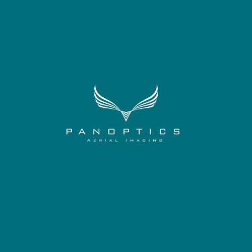 Drone logo with the title 'panoptics'
