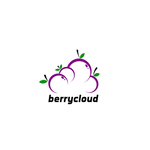 Cloud brand with the title 'Create a professional brand for berrycloud software'