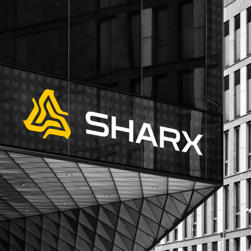 Triangle logo with the title 'Fins + Letter S'