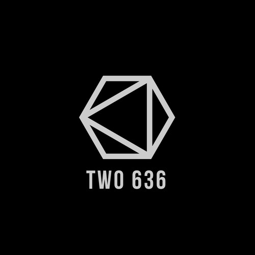 Minimalist brand with the title 'Minimalistic logo for TWO 636'