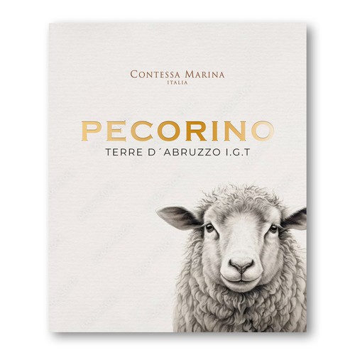 Vino design with the title 'Pecorino, vino blanco italiano'