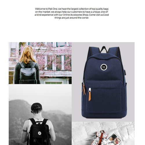 Panther design with the title 'Landing Page proposition for Online Bag store'