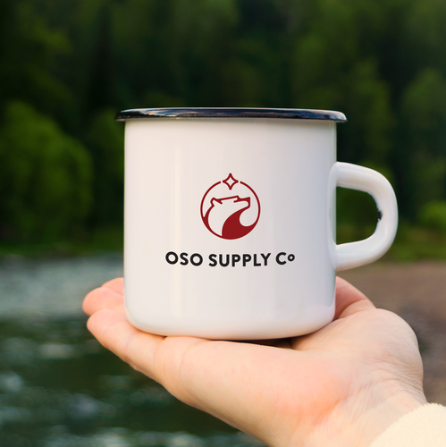 Polaris logo with the title 'Beautiful Bear logo design.'