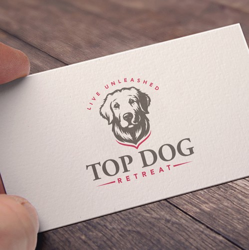 Dog brand with the title 'Logo for doggie daycare  and grooming,  '