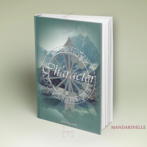 Meditation book cover with the title 'Do work that matters. eBook cover. Character: Meditations on the 13 Principles'