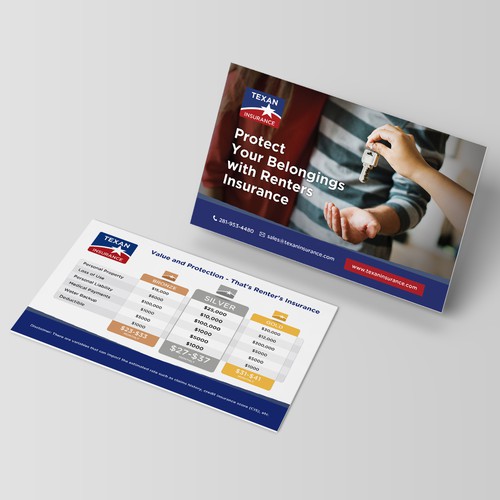 Handout design with the title 'Texan Insurance - Renters Insurance Flyer'