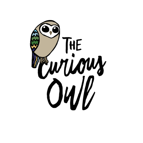 Vacation logo with the title 'The Curious Owl logo'