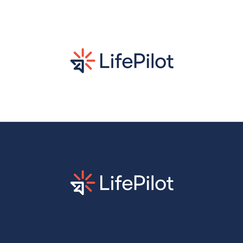 Paper plane design with the title 'LifePilot'