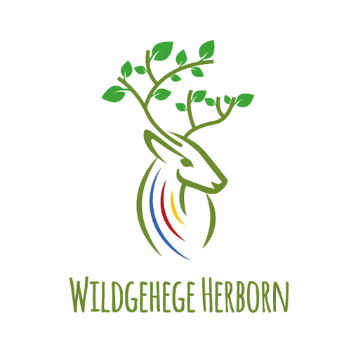 Deer head logo with the title 'Deer animal'